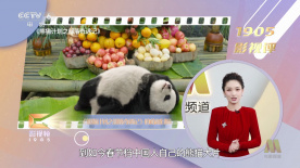 唐尼新片重回榜单之首 《抵达之谜》位居榜单第二 2020-08-02 8月1日，全国院线总票房报收4030.2万元，较前日上涨41%。